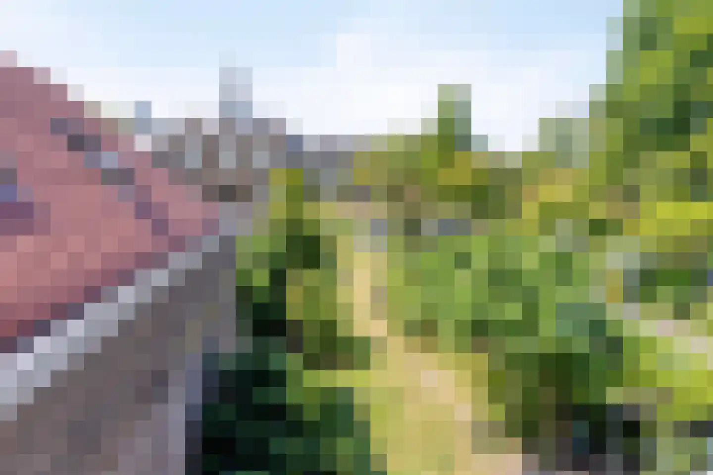 Rijnsburgerweg 14 Leiden thumbnail 62