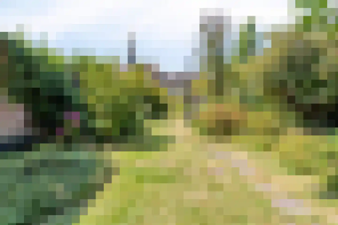 Rijnsburgerweg 14 Leiden thumbnail 65
