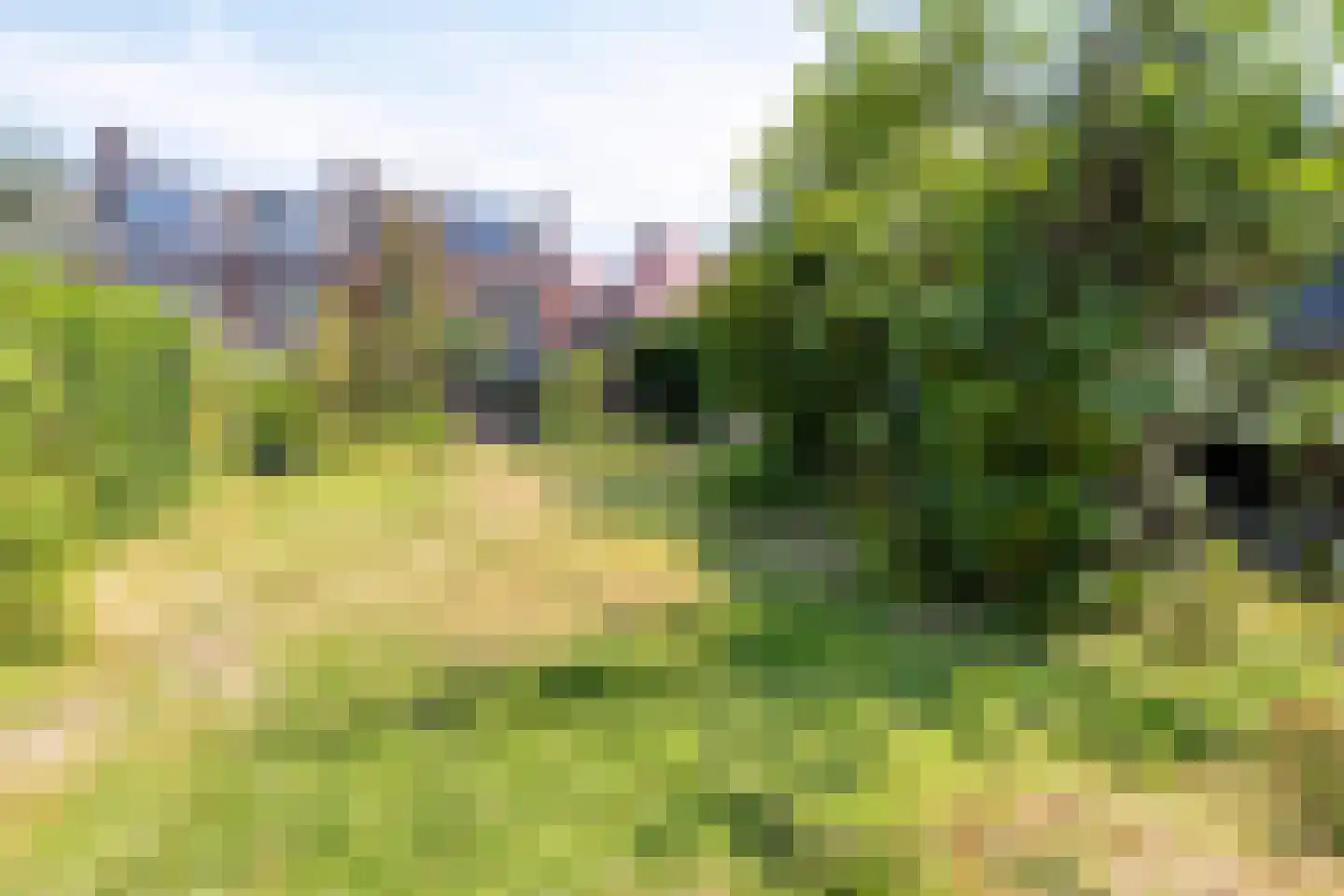 Rijnsburgerweg 14 Leiden thumbnail 69
