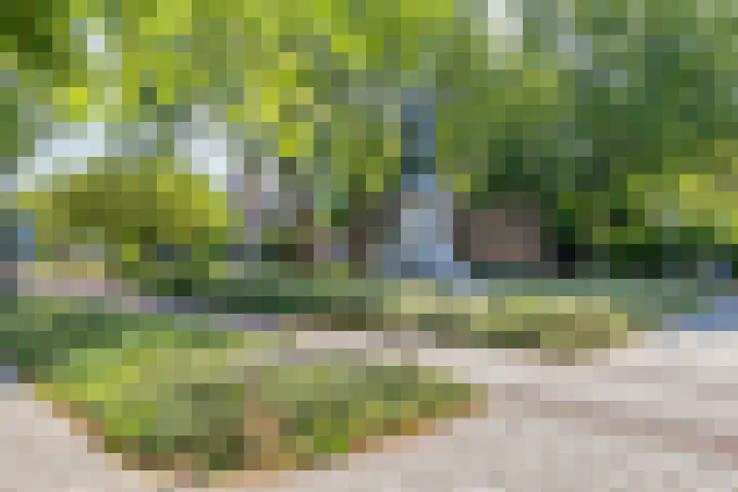 Rijnsburgerweg 14 Leiden thumbnail 80