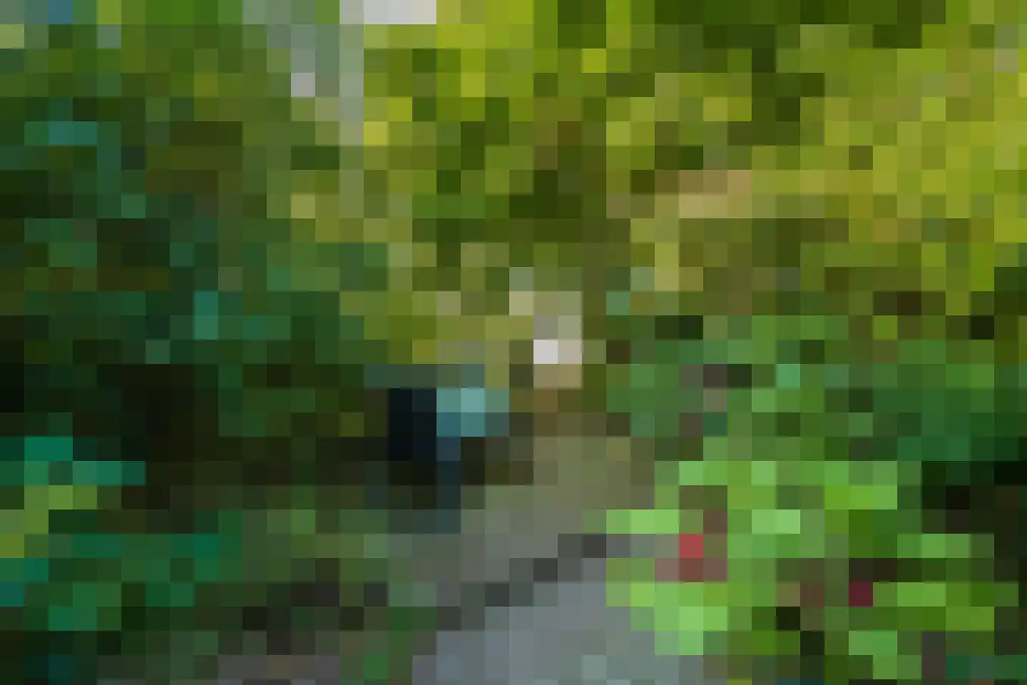 Rijnsburgerweg 153 Leiden thumbnail 36