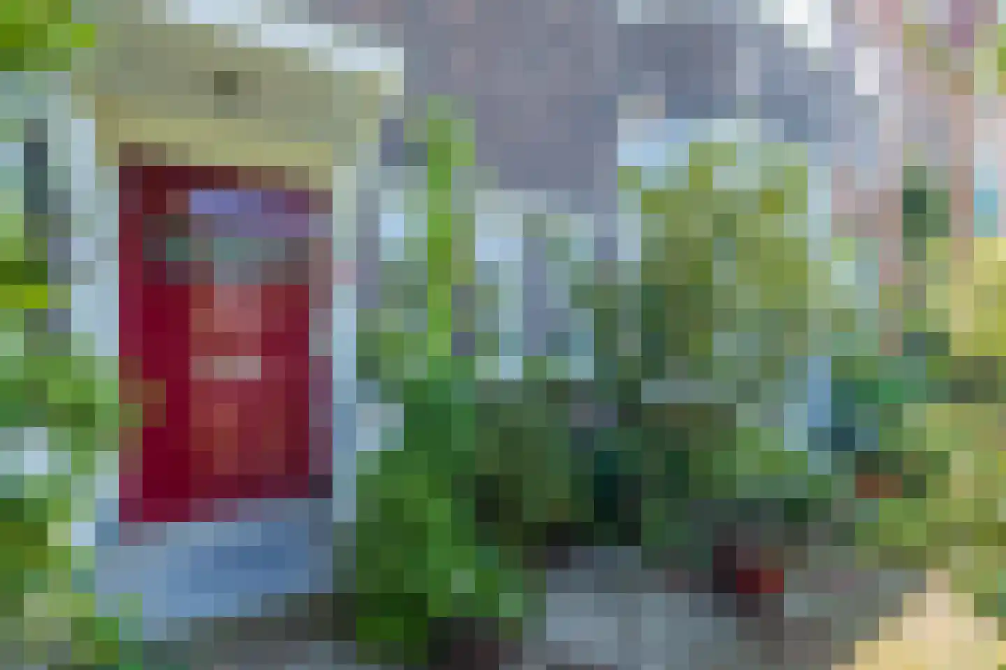 Rijnsburgerweg 153 Leiden thumbnail 4