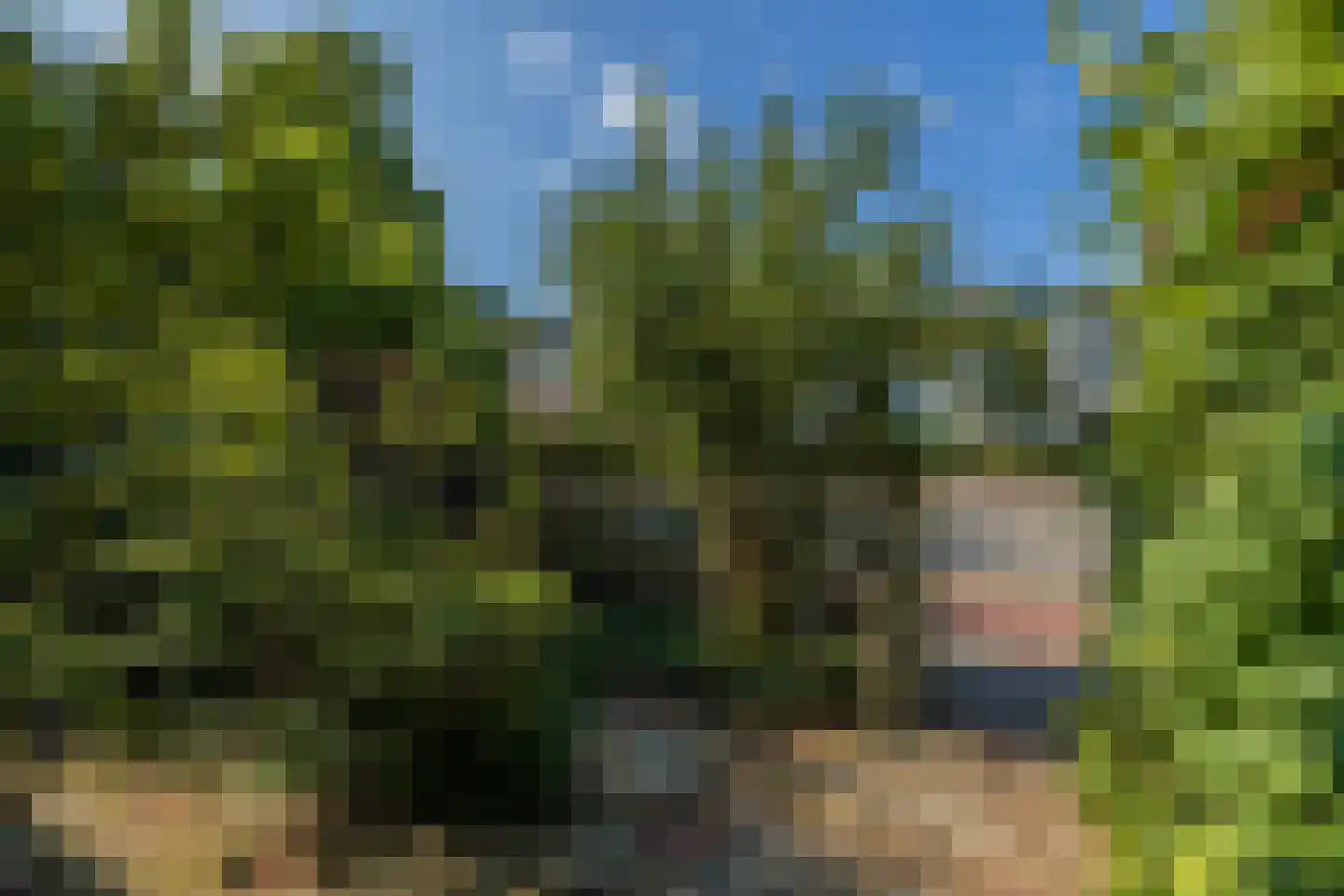 Rijnsburgerweg 153 Leiden thumbnail 6