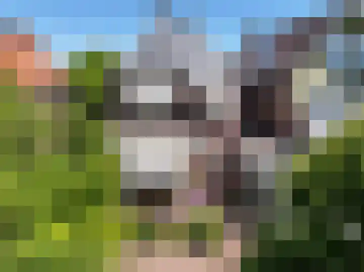 Rijnsburgerweg 156 Leiden thumbnail 5