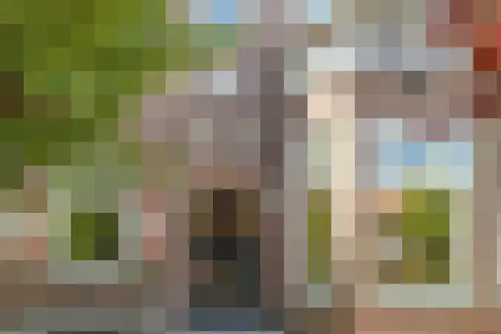 Rijnsburgerweg 156 Leiden thumbnail 7