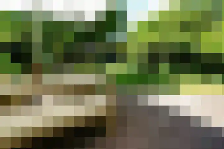 Rijnsburgerweg 156 Leiden thumbnail 73