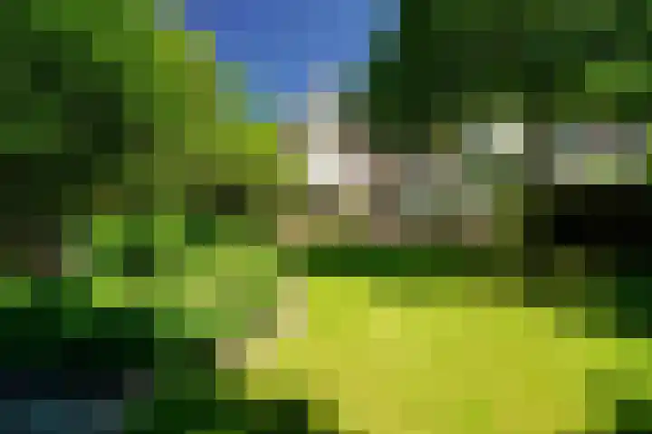 Rijnsburgerweg 156 Leiden thumbnail 79