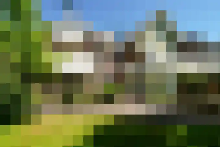 Rijnsburgerweg 156 Leiden thumbnail 84