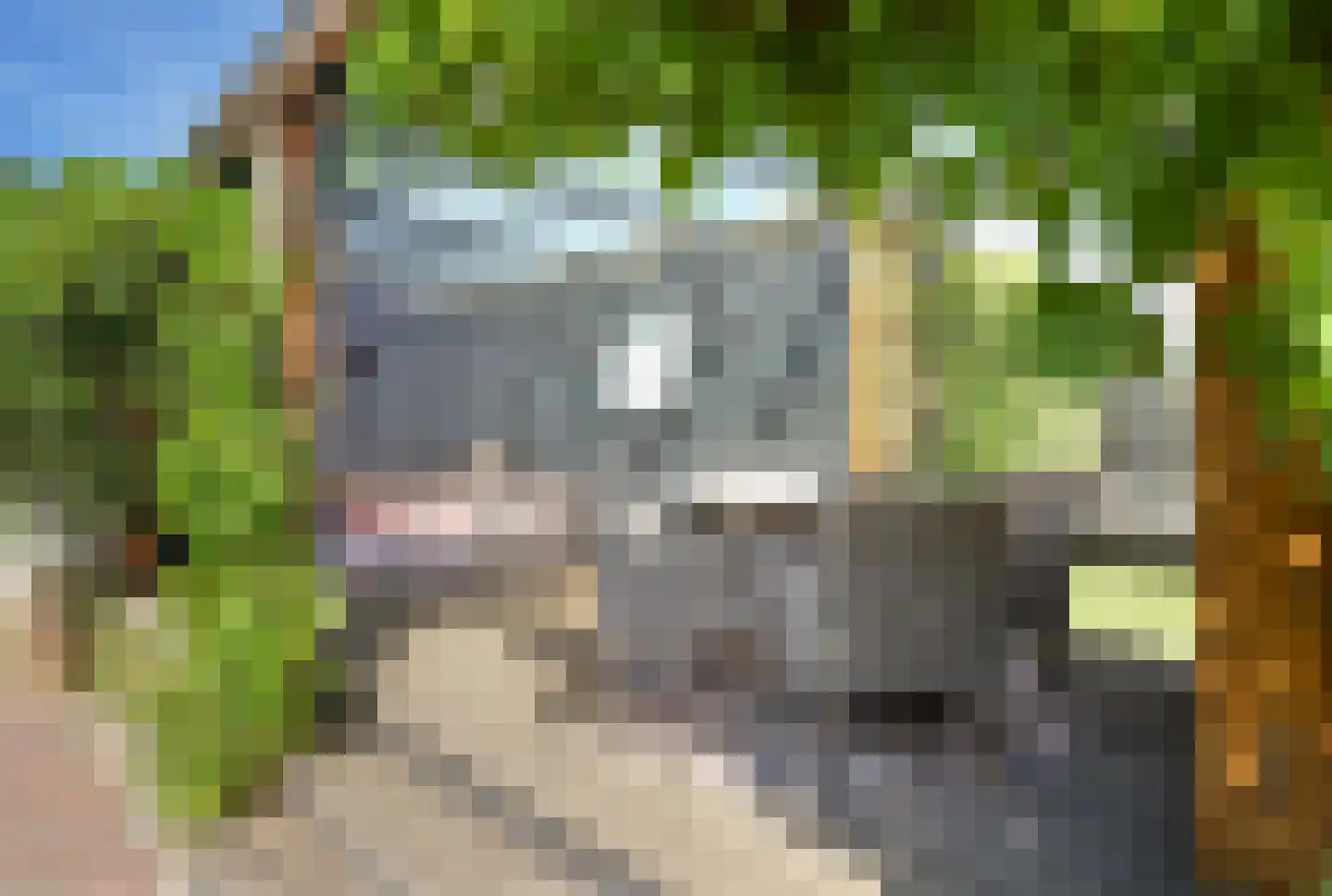Rijnsburgerweg 160 Rijnsburg thumbnail 47