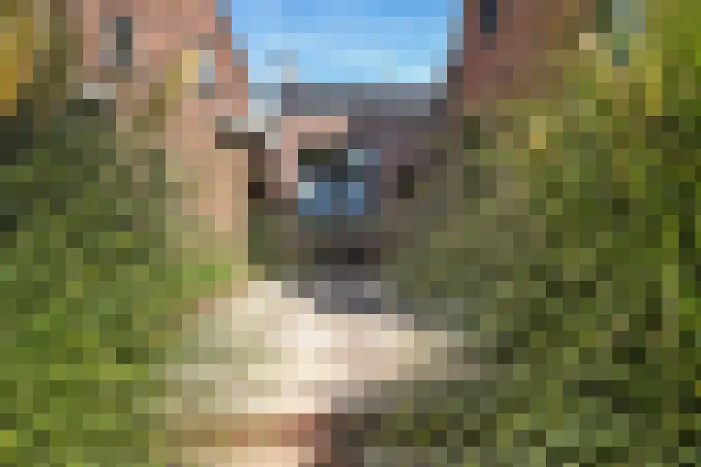 Rijnsburgerweg 160 Rijnsburg thumbnail 61