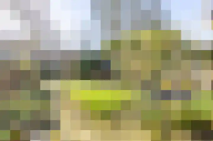 Rijnsburgerweg 18 Leiden thumbnail 21