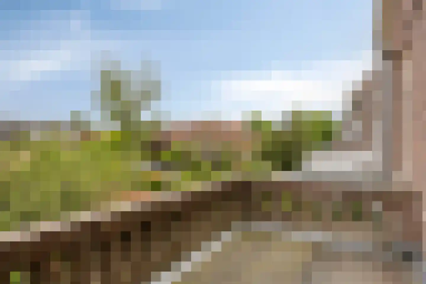 Rijnsburgerweg 189 Leiden thumbnail 36