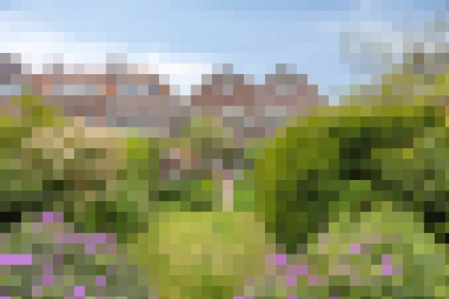 Rijnsburgerweg 189 Leiden thumbnail 58