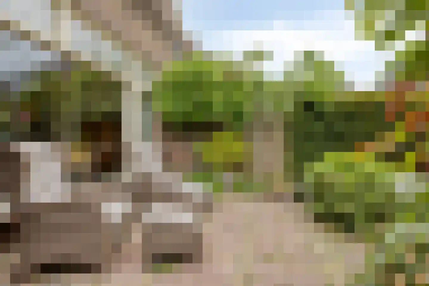 Rijnsburgerweg 189 Leiden thumbnail 60