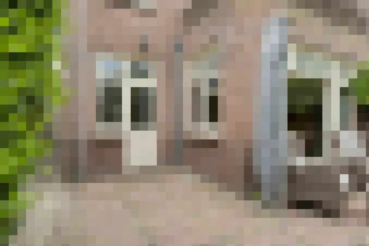 Rijnsburgerweg 189 Leiden thumbnail 61