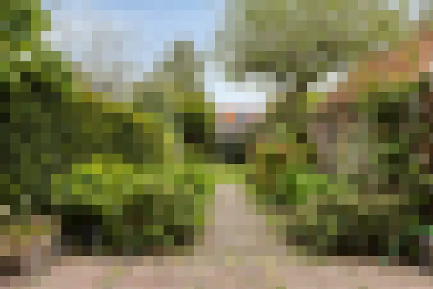 Rijnsburgerweg 189 Leiden thumbnail 63