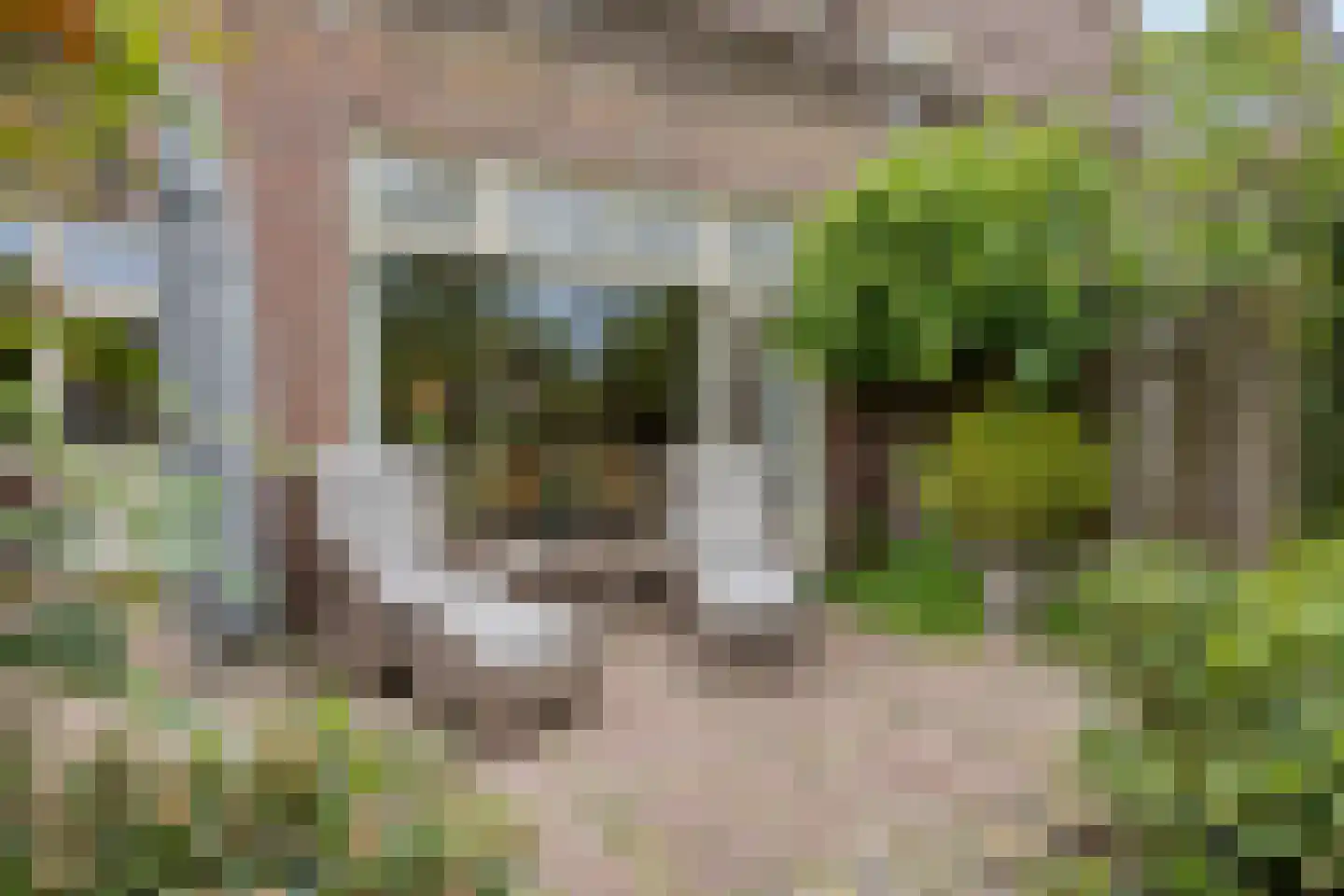 Rijnsburgerweg 189 Leiden thumbnail 64