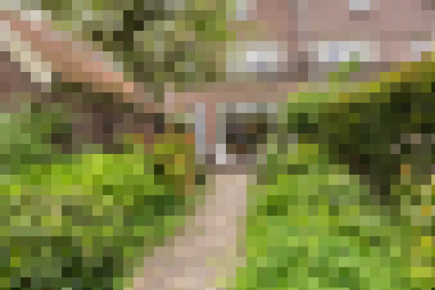 Rijnsburgerweg 189 Leiden thumbnail 66