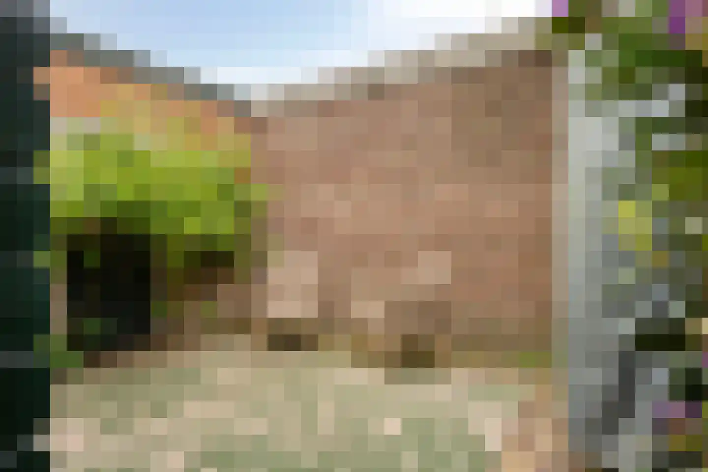 Rijnsburgerweg 189 Leiden thumbnail 68