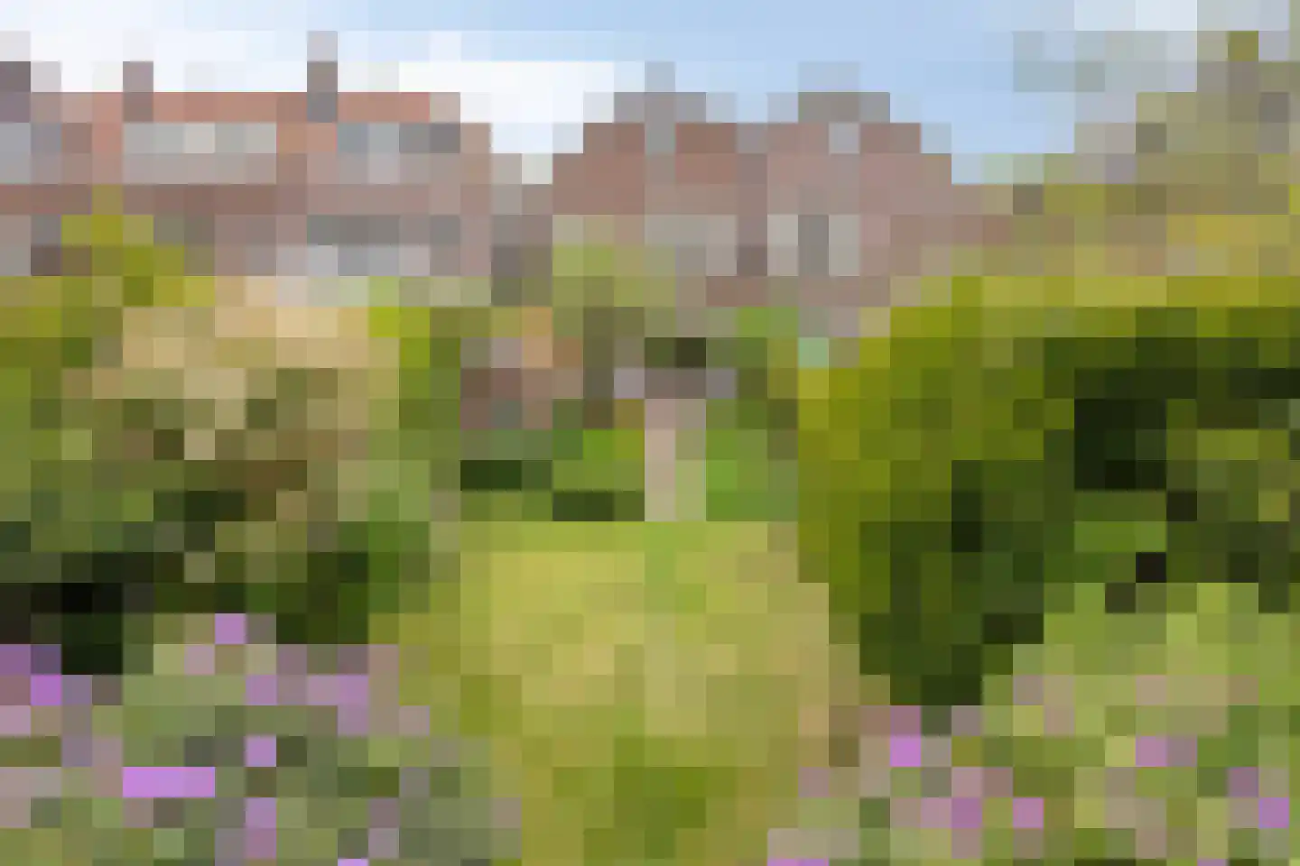 Rijnsburgerweg 189 Leiden thumbnail 75