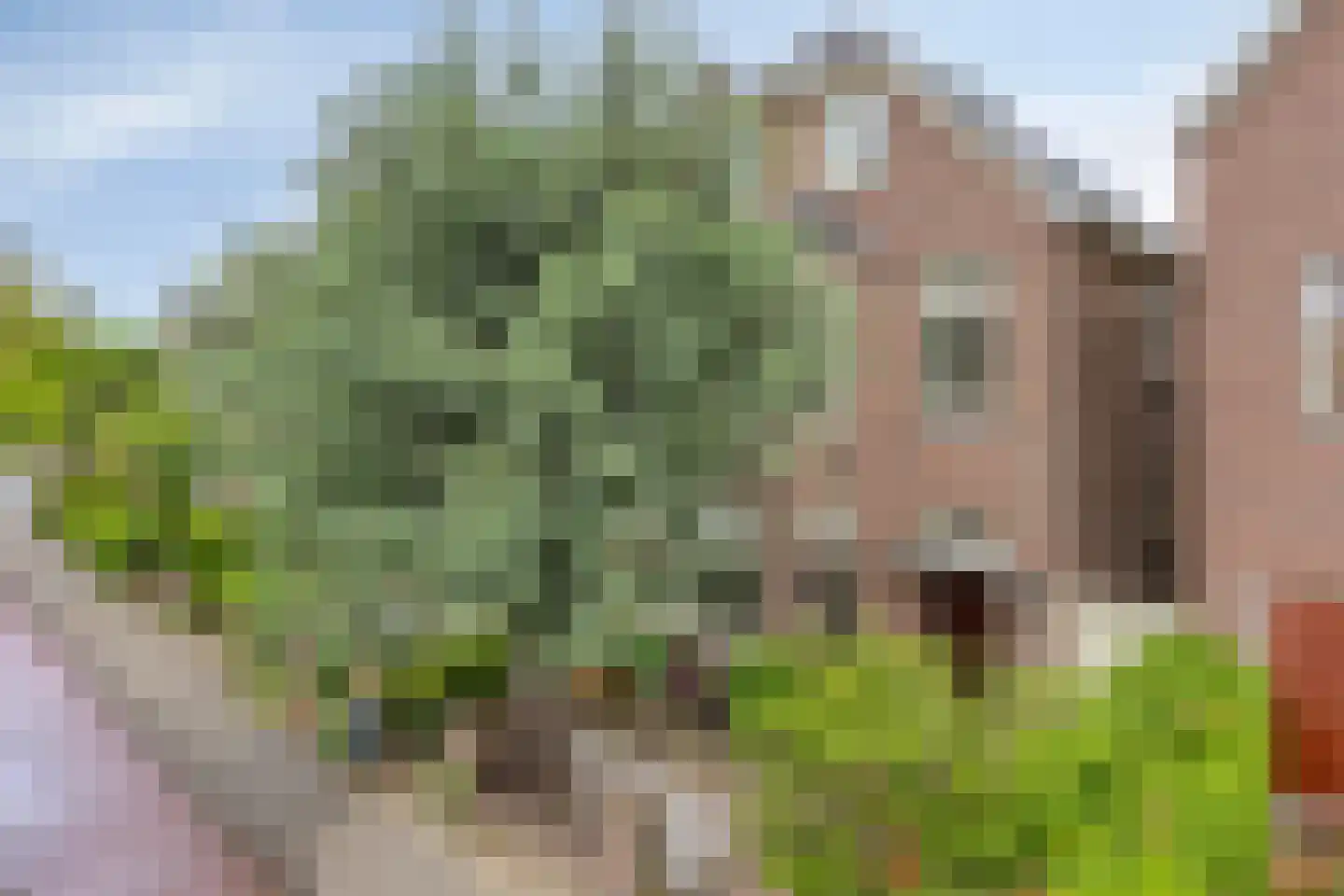 Rijnsburgerweg 189 Leiden thumbnail 76
