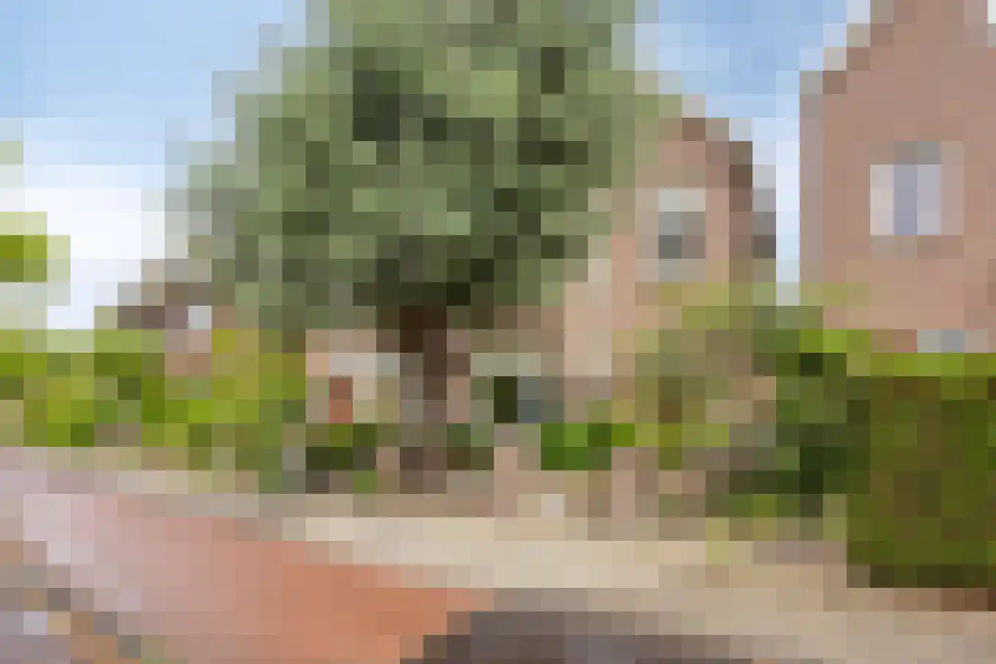 Rijnsburgerweg 189 Leiden thumbnail 79