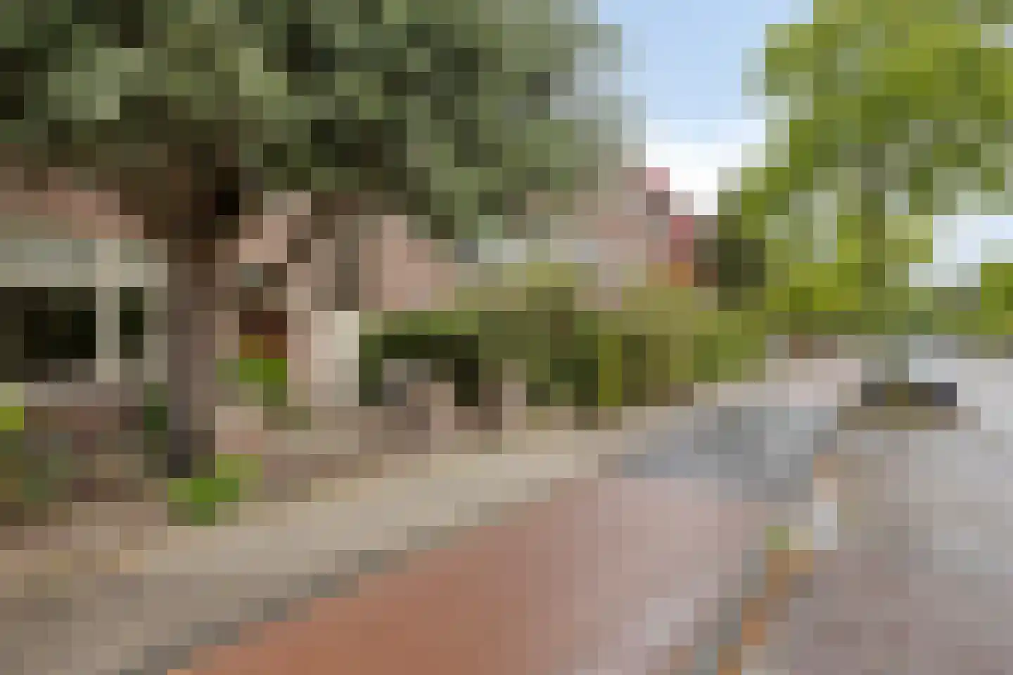Rijnsburgerweg 189 Leiden thumbnail 80