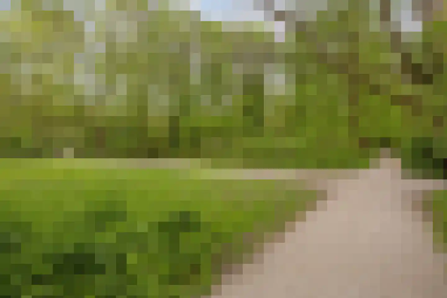 Rijnsburgerweg 189 Leiden thumbnail 85