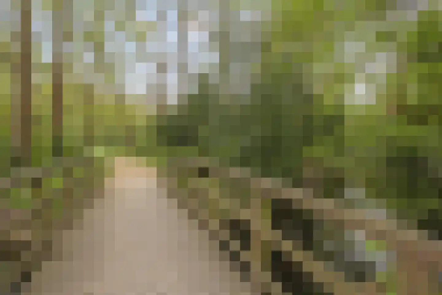 Rijnsburgerweg 189 Leiden thumbnail 86