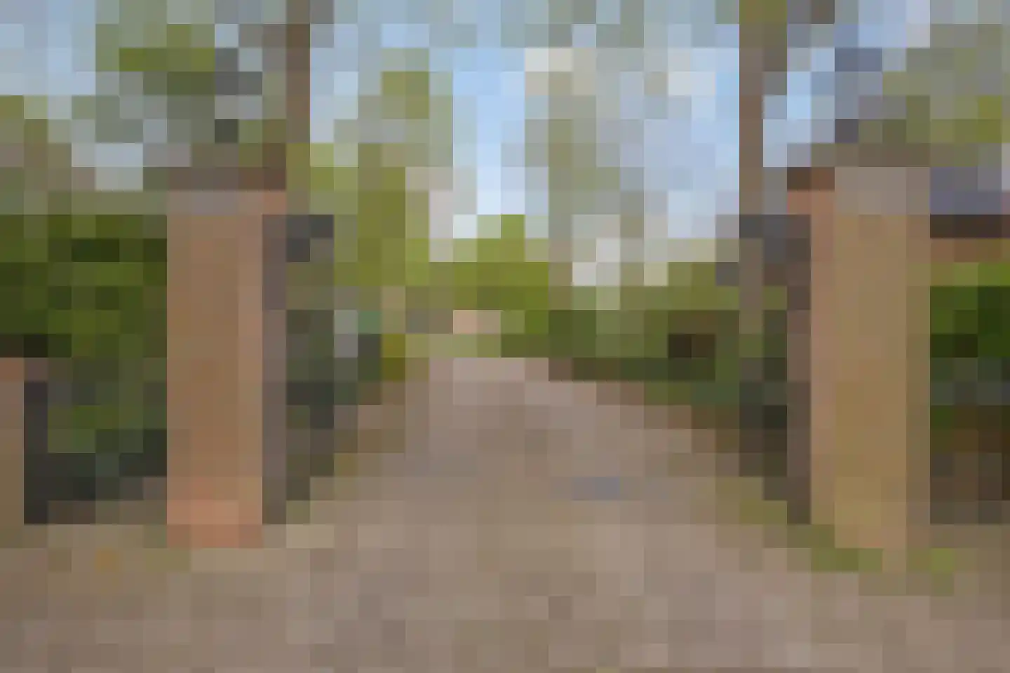 Rijnsburgerweg 189 Leiden thumbnail 88