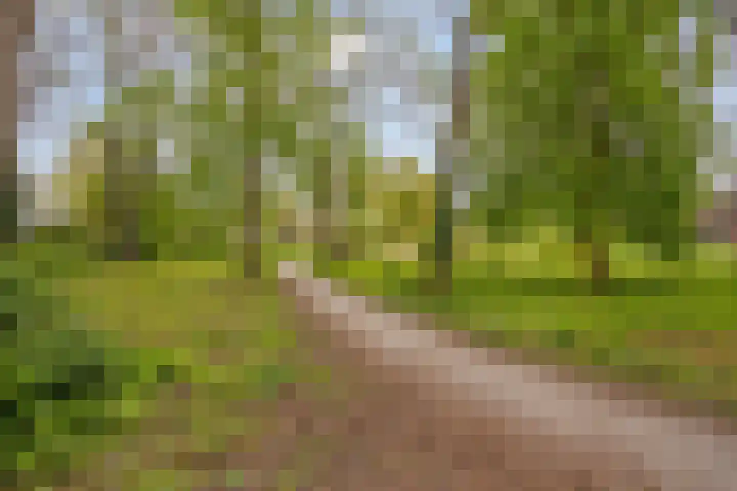 Rijnsburgerweg 189 Leiden thumbnail 89