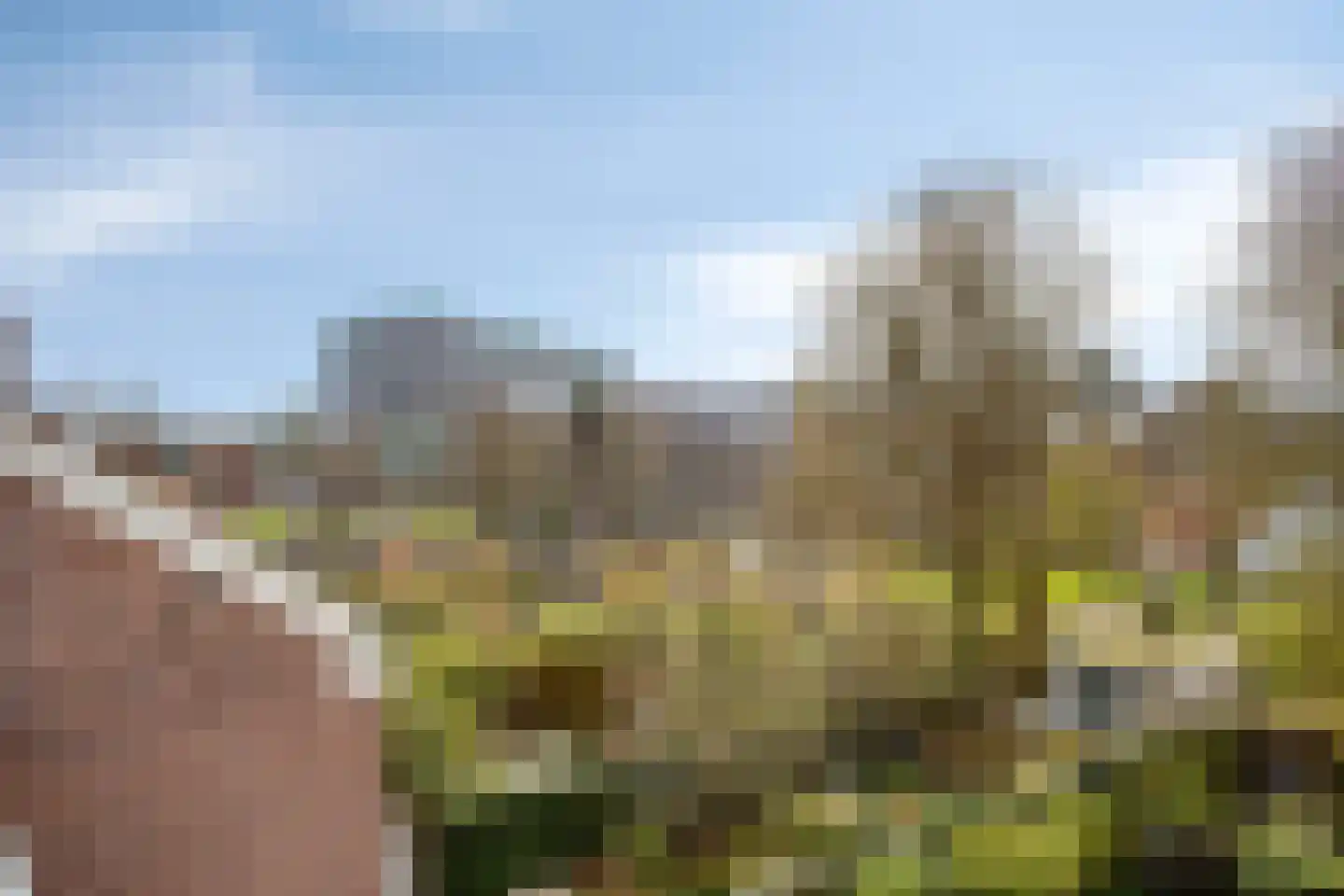 Rijnsburgerweg 26 Leiden thumbnail 24