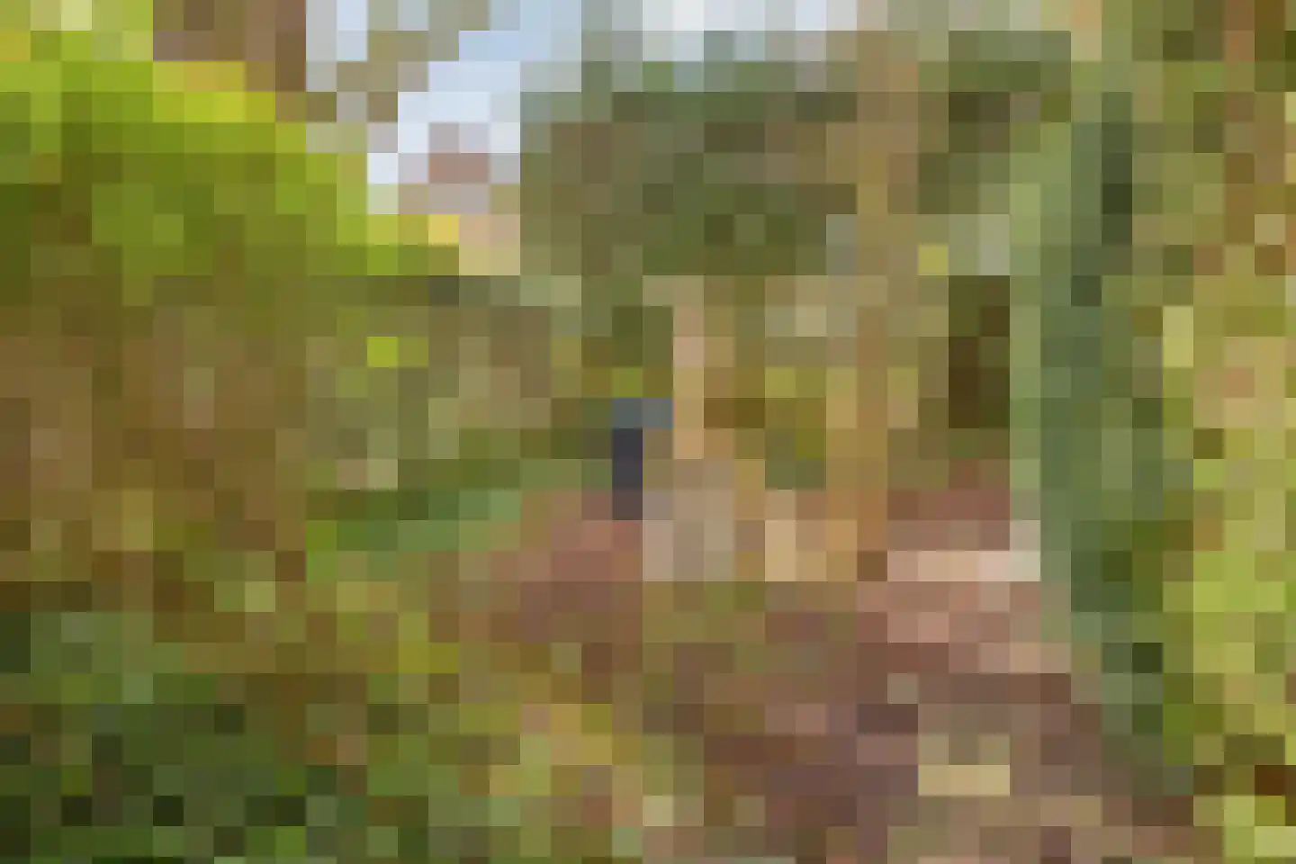 Rijnsburgerweg 26 Leiden thumbnail 42