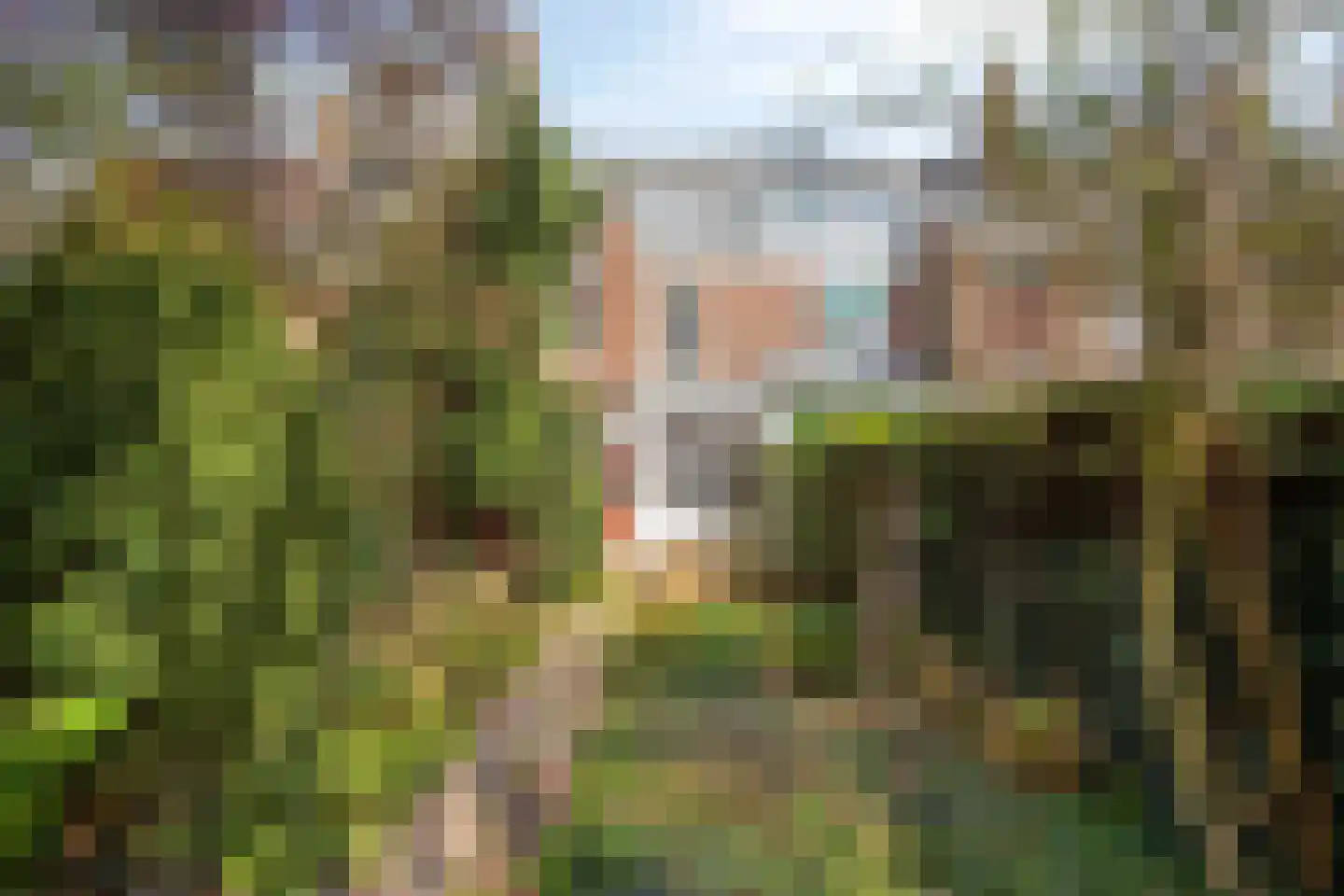 Rijnsburgerweg 26 Leiden thumbnail 43