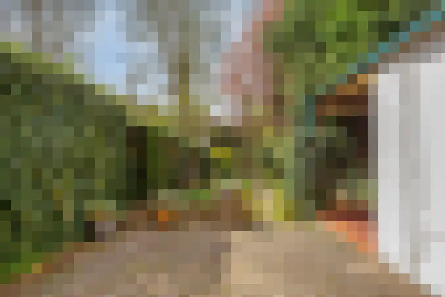 Rijnsburgerweg 26 Leiden thumbnail 44