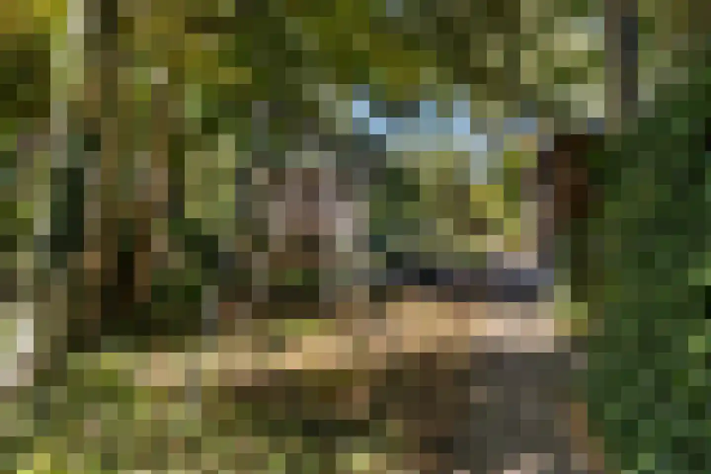 Rijnsburgerweg 26 Leiden thumbnail 45