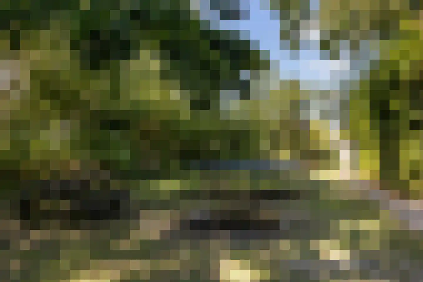 Rijnsburgerweg 26 Leiden thumbnail 46