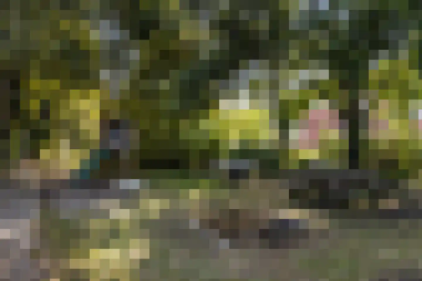 Rijnsburgerweg 26 Leiden thumbnail 47