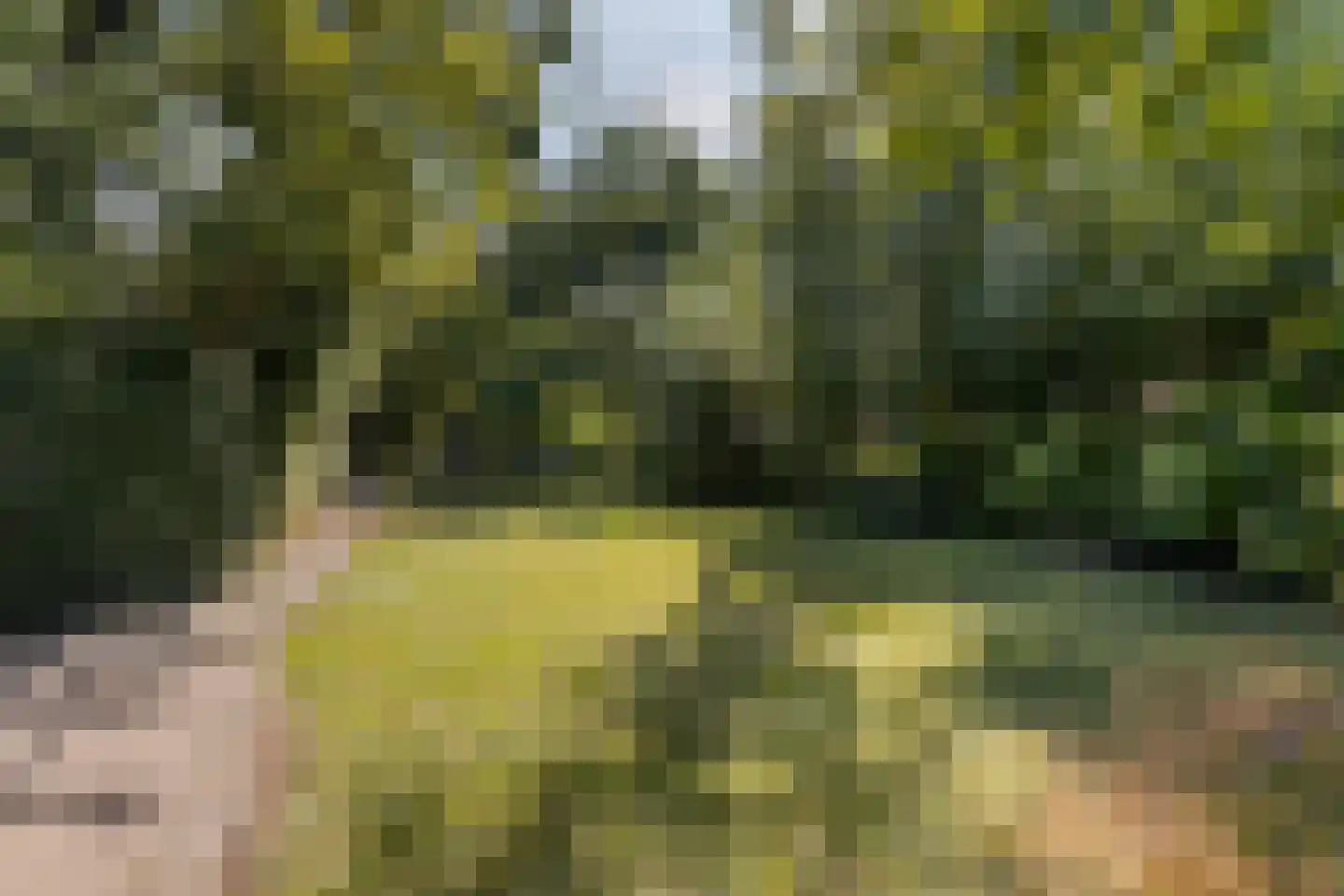 Rijnsburgerweg 26 Leiden thumbnail 48