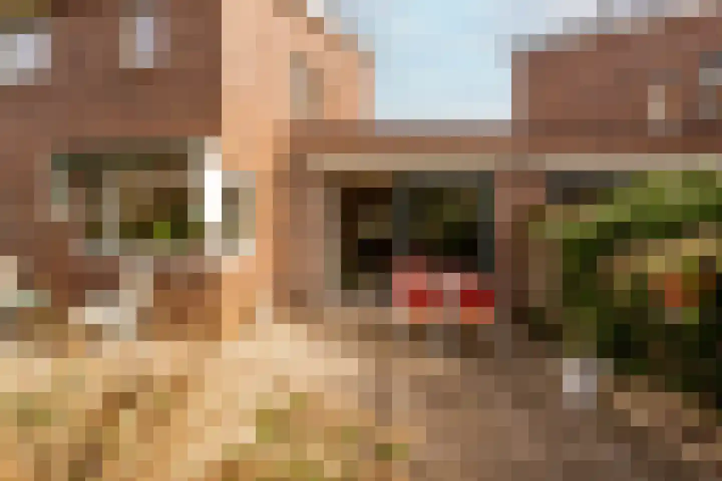 Rijnsburgerweg 4 514 Voorhout thumbnail 18