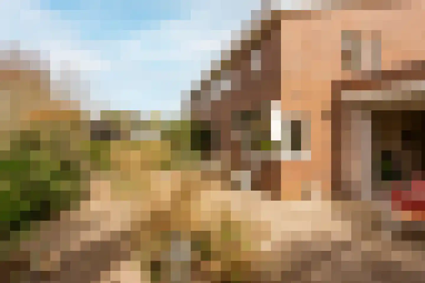 Rijnsburgerweg 4 514 Voorhout thumbnail 19