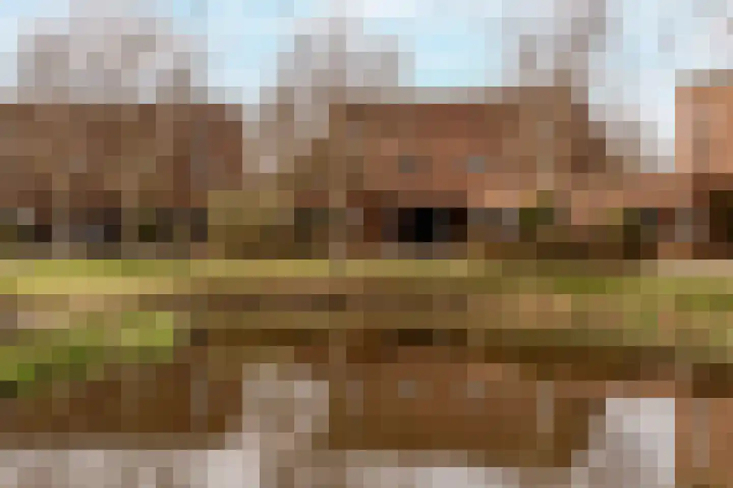Rijnsburgerweg 4 514 Voorhout thumbnail 36