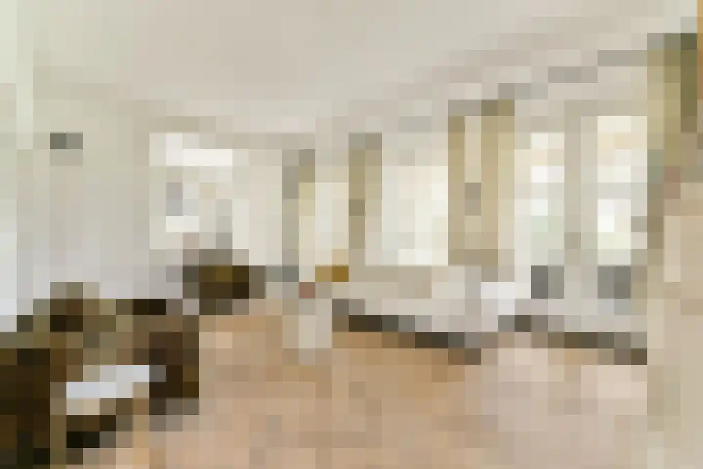 Rijnsburgerweg 5 Voorhout thumbnail 12