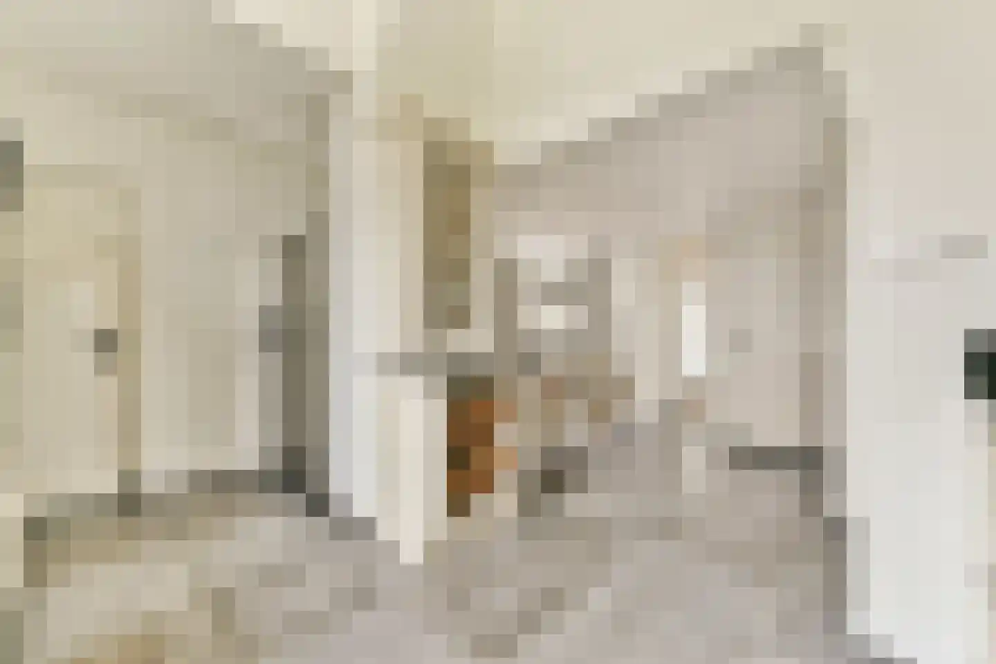 Rijnsburgerweg 5 Voorhout thumbnail 22