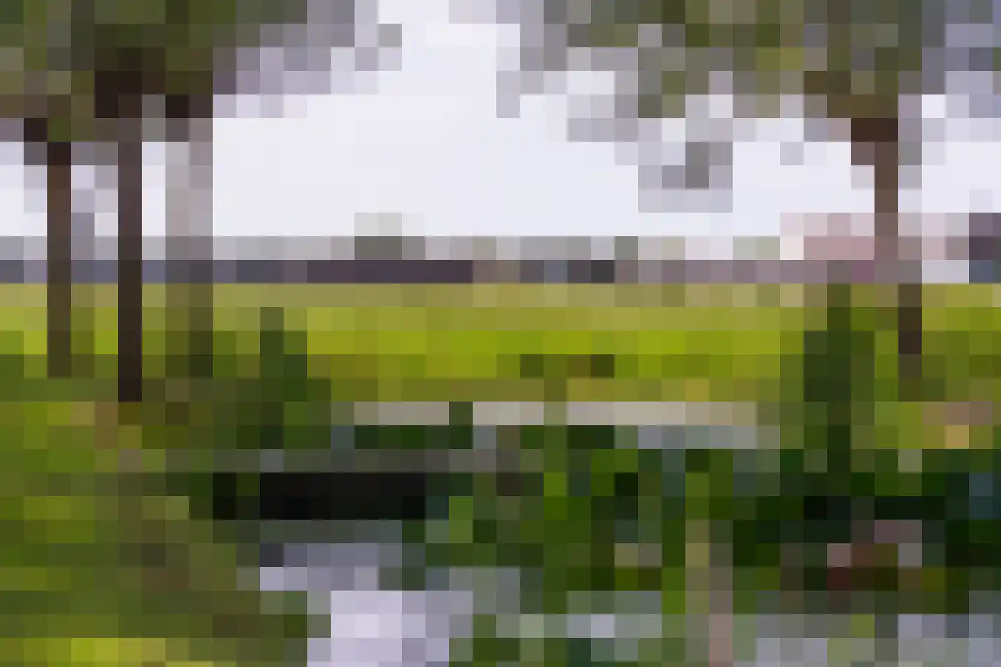 Rijnsburgerweg 5 Voorhout thumbnail 50