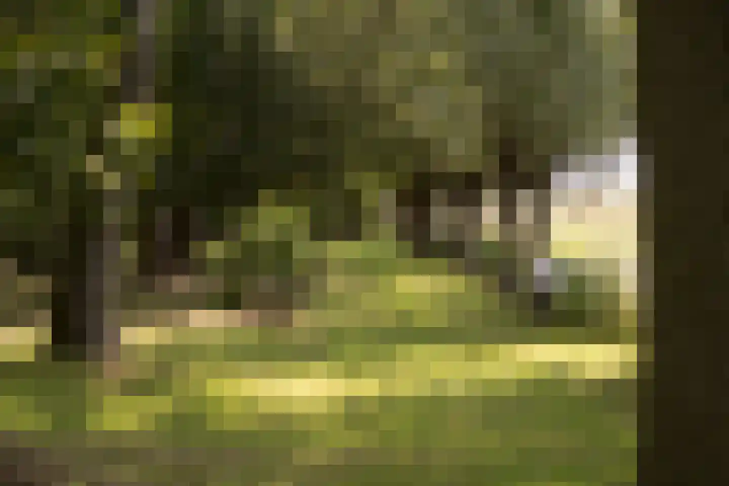 Rijnsburgerweg 5 Voorhout thumbnail 51
