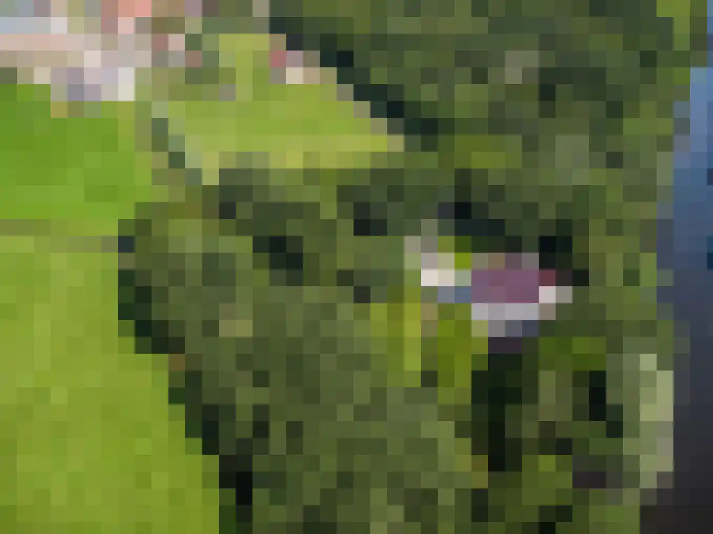 Rijnsburgerweg 5 Voorhout thumbnail 7