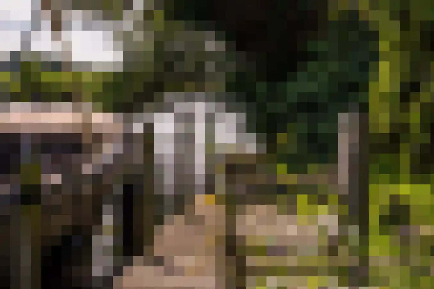 Rijnsburgerweg 5 Voorhout thumbnail 8