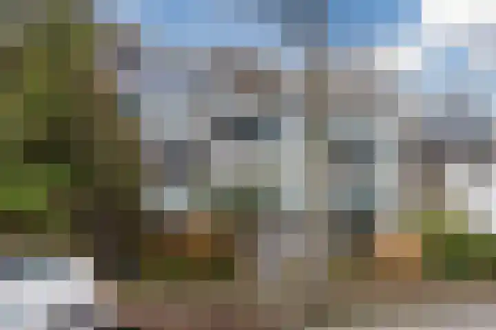 Rijnsburgerweg 59 in Leiden