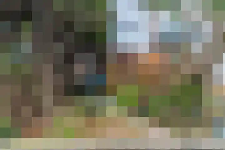 Rijnsburgerweg 59 Leiden thumbnail 4